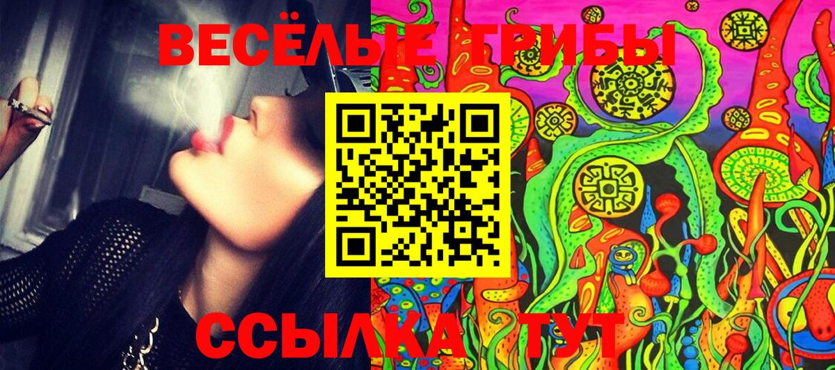 Галлюциногенные грибы Magic Shrooms Вятские Поляны