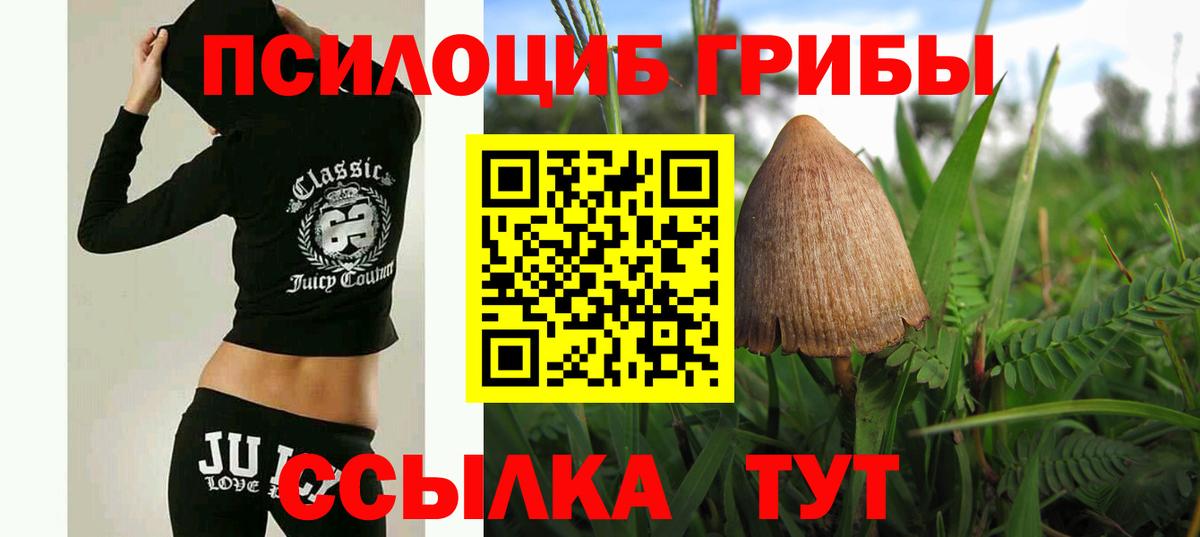 Галлюциногенные грибы Cubensis  продажа наркотиков  Вятские Поляны  Вход с VPN  Галлюциногенные грибы Psilocybe 